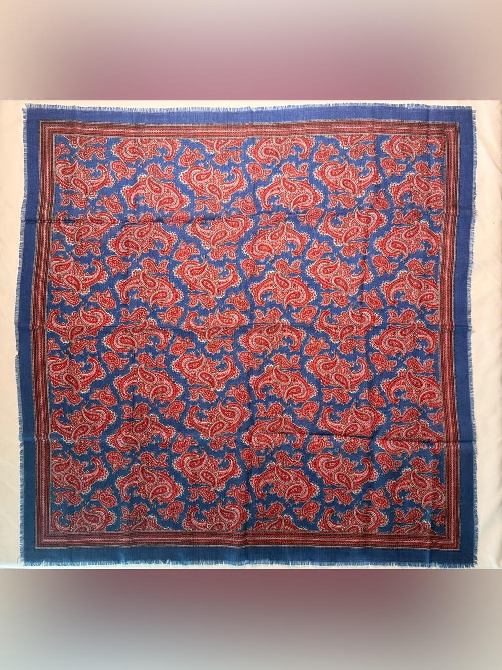 Blue & Red Paisley Throw Blanket - Unbranded